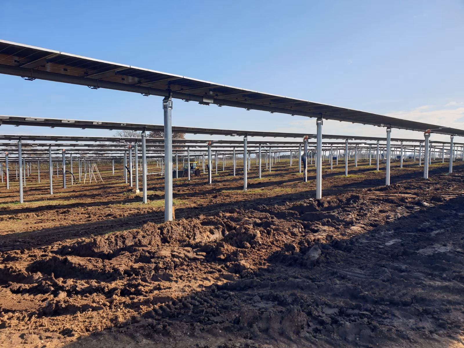 Rows of bifacial panels on agri-photovoltaic structure over freshly worked soil