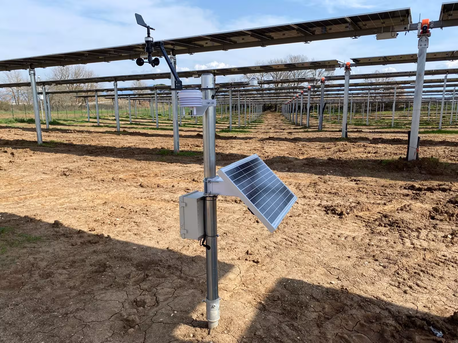 A Clurasense weather station standing between rows of agri-photovoltaic panels